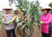 Polda Sumsel Launching Serentak Program P2L di Kebun Pangan Lestari