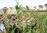 Kapolresta Malang Kota Gandeng Mahasiswa dalam Panen Raya Jagung Serentak