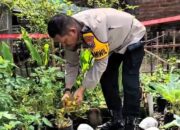 Kapolsek Tulangan Pantau Ketahanan Pangan, Dorong Kemandirian Warga