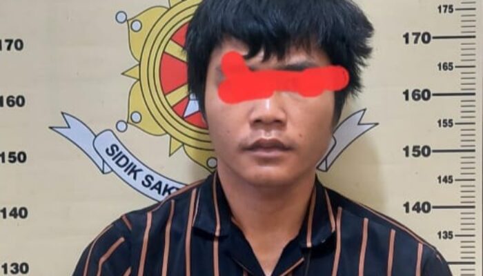 Pencurian Sawit di Lahat Terungkap, Satu Pelaku Ditangkap, Tiga Buron