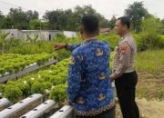 Bhabinkamtibmas Desa Watugolong Dukung Inovasi Hidroponik Selada untuk Ketahanan Pangan