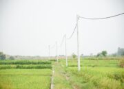 PLN Sidoarjo Genjot Produktivitas Petani Banyuasin dengan Program Pompanisasi