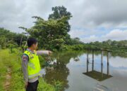 Buaya Masuk Kolam Ikan, Polsek Purwodadi Sigap Tindak Lanjut dan Himbau Warga