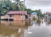 Banjir Rendam Puluhan Rumah di Desa Lubuk Pandan, Warga Menanti Tinjauan Pemerintah