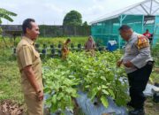 Polsek Buduran Dorong Swasembada Pangan, Bantu Warga Optimalkan Lahan Pertanian dan Peternakan