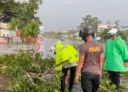 Satlantas Polres Musi Rawas Sigap Evakuasi Pohon Tumbang, Cegah Kecelakaan di Jalinsum