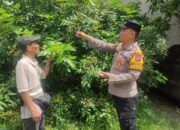 Polsek Taman Dorong Produktivitas Kelengkeng di Tanjungsari untuk Ketahanan Pangan