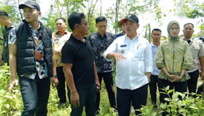 Bupati dan Wakil Bupati Lahat Tinjau Aset Terbengkalai, Rencana Bangun Sekolah Rakyat untuk 2.000 Anak