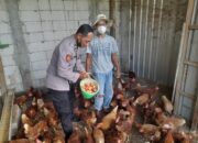 Bhabinkamtibmas Trosobo Dukung Peternak Ayam Petelur, Perkuat Ketahanan Pangan Lokal