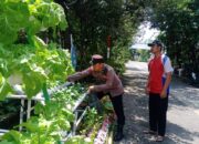 Warga Perum MCG Semangat Bertani Hidroponik, Dukung Ketahanan Pangan Mandiri