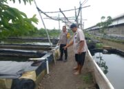 Kapolsek Wonoayu Apresiasi Budidaya Ikan di Desa Popoh, Dorong Ketahanan Pangan