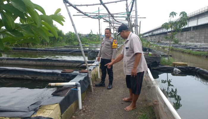 Kapolsek Wonoayu Apresiasi Budidaya Ikan di Desa Popoh, Dorong Ketahanan Pangan