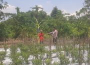 Polsek Sidoarjo Kota Dorong Ketahanan Pangan, Warga Antusias Kembangkan Hidroponik