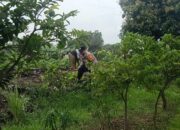 Desa Ketegan Tanggulangin Manfaatkan Lahan Tidur untuk Ketahanan Pangan