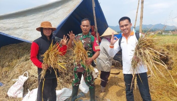 Jelang Lebaran, Bulog Jabar Serap 66.000 Ton Gabah Beras Petani
