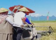 Panen Raya Serentak di 14 Provinsi, Situbondo Tunjukkan Taji sebagai Lumbung Pangan Nasional