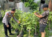 Bhabinkamtibmas Kedungrejo Dorong Swasembada Pangan Lewat Pertanian di Fasum Desa