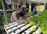 Bhabinkamtibmas Bungurasih Sulap Lahan Tidur Jadi Kebun Sayur, Warga Semangat Tanam dan Panen