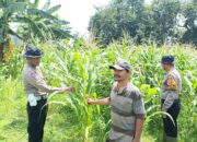 Kapolsek Balongbendo Dampingi Warga Wujudkan Swasembada Pangan dari Pekarangan Sendiri