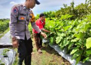 Panen di Pekarangan, Aksi Inspiratif Warga Sambibulu Dapat Apresiasi Bhabinkamtibmas