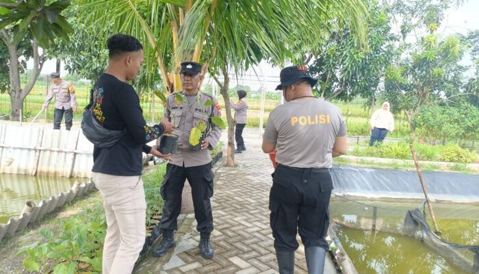 Kapolsek Krian Gandeng Warga Bangun Pekarangan Pangan Bergizi di Lahan Bumdes Kraton