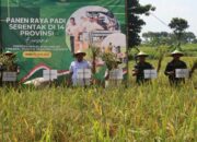 Blora Ikuti Panen Raya Padi Serentak