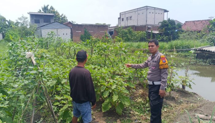 Polsek Gedangan Tinjau Kebun Mandiri Warga, Dukung Misi Asta Cita Presiden Prabowo