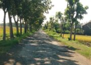 Jalan Berlubang di Blitaran Nganjuk : Ancaman Nyata, Pemerintah Cuek