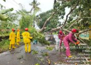 4 Kapanewon di Sleman Diterjang Angin Kencang, Pepohonan Tumbang Menimpa Bangunan