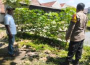 Polisi dan Pemdes Kludan Kompak Wujudkan Ketahanan Pangan Bergizi di Tanggulangin