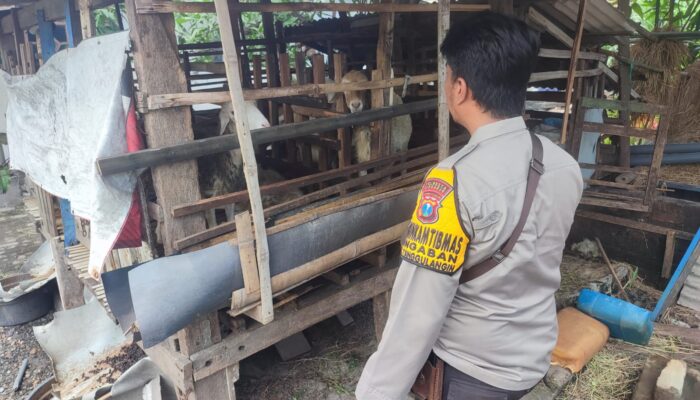 Kepolisian Blusukan ke Sawah, Bhabinkamtibmas Dorong Kemandirian Pangan di Tanggulangin