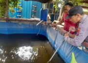 Warga Desa Trosobo Sulap Lahan Kosong Jadi Kolam Lele, Polisi Beri Apresiasi Tinggi