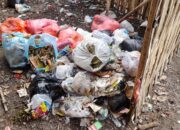 Darurat Sampah di Besuki, Mas Rio Siapkan Operasi Bersih-Bersih!
