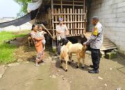 Bhabinkamtibmas Grogol Blusukan ke Lahan Warga, Dorong Peternakan Kambing Jadi Pilar Ketahanan Pangan Desa