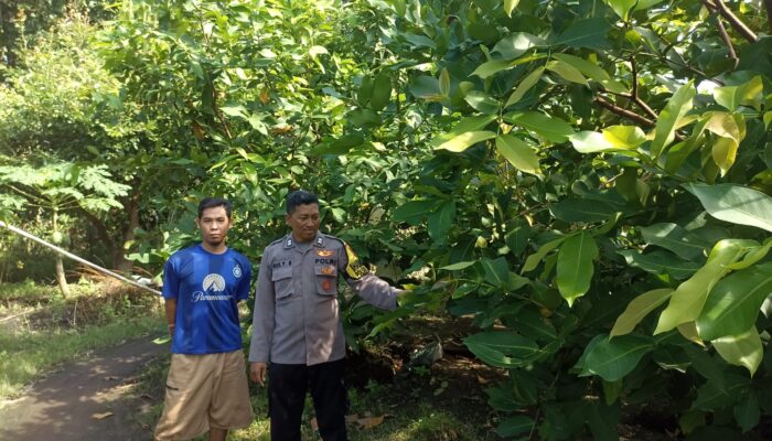 Blusukan Bhabinkamtibmas Grogol: Dorong Warga Ubah Pekarangan Jadi Lumbung Pangan Keluarga