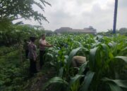 Bripka Aribat Ajak Warga Bungurasih Ubah Fasum Jadi Ladang Harapan
