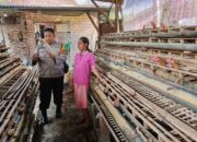Bhabinkamtibmas Desa Lajuk Dorong Warga Kembangkan Usaha Ayam Petelur Demi Ketahanan Pangan