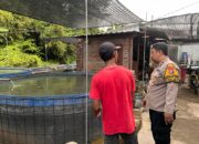 Polri Cinta Petani, Polsek Krembung Dukung Ketahanan Pangan Lewat Budidaya Lele di Desa Lemujut