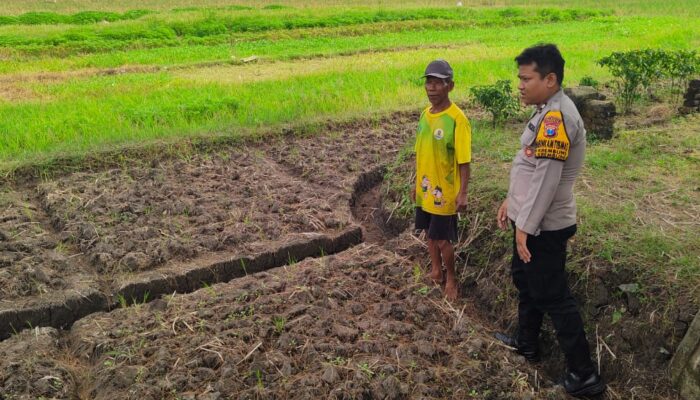 Polsek Krembung Gaungkan “Polisi Cinta Petani”, Tinjau Lahan Sawi Demi Swasembada