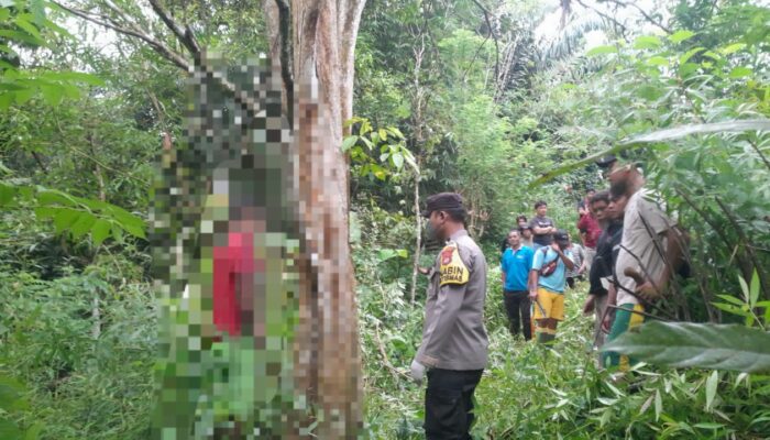 Tragis, Seorang Petani Ditemukan Gantung Diri di Kebun Belakang Rumah