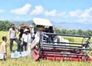 Panen Raya Serentak 14 Provinsi, Indeks Ketahanan Pangan Ponorogo Nomor 2 di Jatim