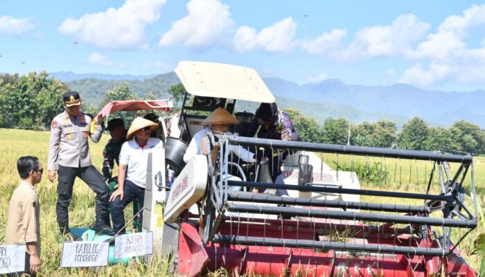 Panen Raya Serentak 14 Provinsi, Indeks Ketahanan Pangan Ponorogo Nomor 2 di Jatim
