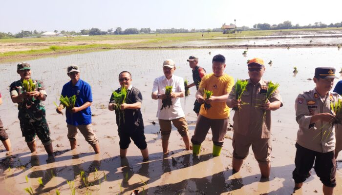 Gerindra Hadirkan Kementerian Pertanian di Situbondo, Fondasi Swasembada Era Prabowo Mulai Ditanam