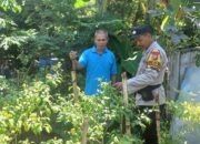 Polisi Cinta petani, Bhabinkamtibmas Dorong Ketahanan Pangan Lewat Budidaya Sayur di Lahan Fasum Kepuh kiriman