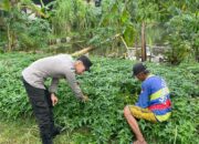 Polisi Cinta Petani, Bhabinkamtibmas Desa Janti Dampingi Budidaya Kangkung di Lahan Pekarangan