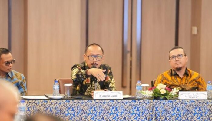 Tolak Tambang, Warga Demo! Gubernur Sulbar: Gugat ke PTUN Jika Ingin Izin Dicabut