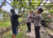 Polsek Buduran Gencarkan Swasembada Pangan Lewat Patroli Humanis Polisi Cinta Petani