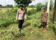 Polisi Cinta Petani, Bhabinkamtibmas Semambung Tinjau Lahan Pekarangan Warga untuk Ketahanan Pangan