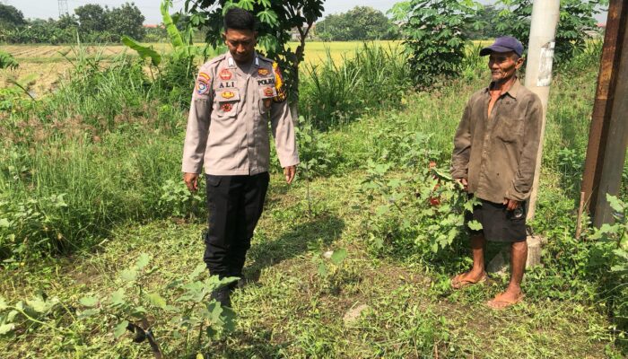 Polisi Cinta Petani, Bhabinkamtibmas Semambung Tinjau Lahan Pekarangan Warga untuk Ketahanan Pangan