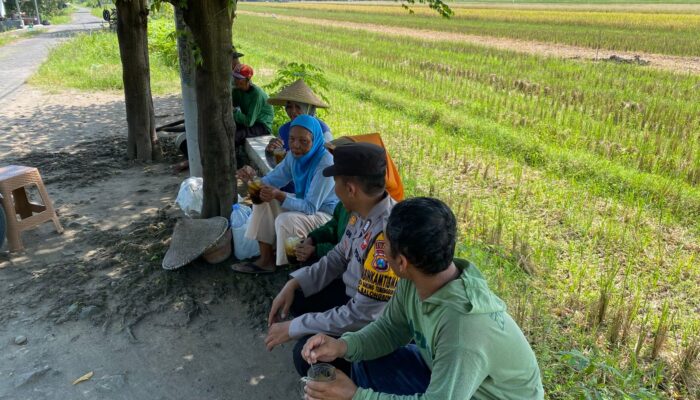 Polisi Cinta Petani: Bhabinkamtibmas Sukodono Tinjau Lahan P2B Demi Swasembada Pangan